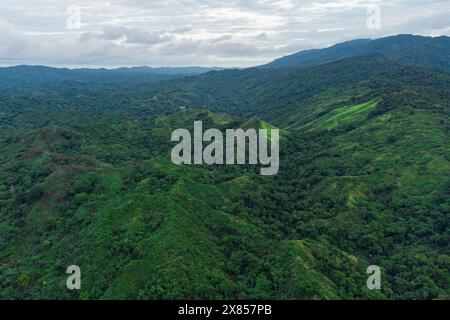 Blick aus der Vogelperspektive auf den unberührten tropischen Dschungel in Venezuela, mit Hügeln und üppig grünem Regenwald, mit wolkigem, stimmungsvollem und nebeligem Himmel auf dem Amazonaswald. Stockfoto