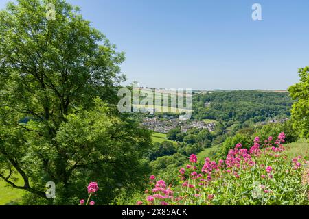 Der Weiler Taddiport vom Great Torrington Common auf Castle Hill, Devon, England. Stockfoto