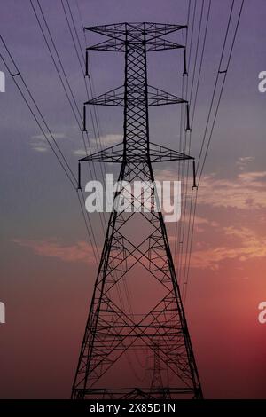 Nahaufnahme des Hochspannungs-Elektromasts, der durch die Landschaft mit Sonnenuntergang Himmel führt Stockfoto