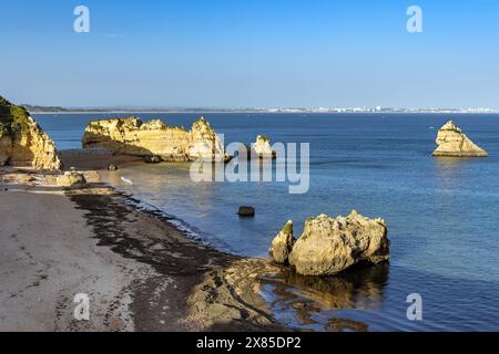 Praia Dona Ana Strand mit seinen spektakulären Ständen und Klippen in Lagos, Algarve, Portugal. Stockfoto
