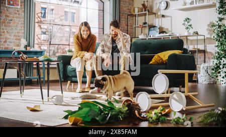 Lustiger Moment: Mops Dog flieht weg, nachdem er die Blume zerstört hat, indem er sie umkippt und in der ganzen Wohnung Chaos verursacht hat. Pärchen sitzen auf der Couch mit einem Blick von Unglauben, Frustration. Niedliches, Dummes Hündchen Stockfoto