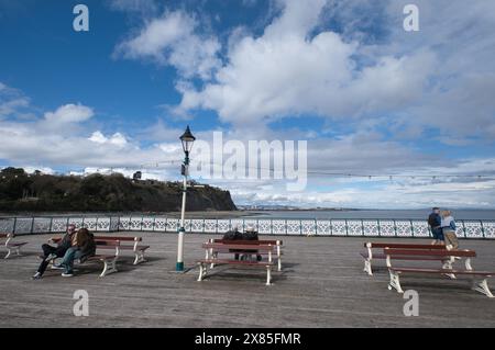 Blick auf den Penarth Pier im Frühjahr Stockfoto