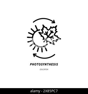 Photosynthese-Symbol mit Pflanze und Sonne, Vektor-dünne Linien-Illustration für natürlichen Energieaustausch, Pflanzenbiologie, Nachhaltigkeit, Umwelt und Öko Stock Vektor