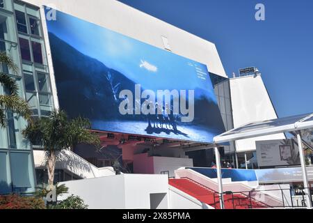 Frankreich, Cannes, das Plakat für das 77. Internationale Filmfestival, das gewählte Bild stammt aus dem Film Rhapsodie en Août von Akira Kurosawa. Stockfoto