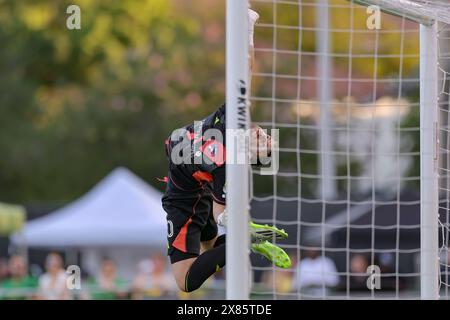 St. Petersburg, Florida, USA. Mai 2024. FC Dallas Torhüter Maarten Paes (30) sichert sich beim 16-Spiel der Lamar Hunt U.S. Open am 22. Mai 2024 im Al lang Stadium. Der FC Dallas besiegte die Rowdies mit 2:1. (Kreditbild: © Kim Hukari/ZUMA Press Wire) NUR REDAKTIONELLE VERWENDUNG! Nicht für kommerzielle ZWECKE! Stockfoto