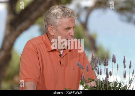 Schmeckt nicht, gibt’s nicht, Kochsendereihe, Deutschland 2003 - 2007, Special: Mallorca, Co-Moderator Stockfoto