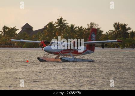 Kuredu, Malediven, 14. Dezember 2014: Trans Maldivian Airways Wasserflugzeug bei Sonnenuntergang. Tropische Insel im Hintergrund. Turboprop, weiß, rot. Stockfoto