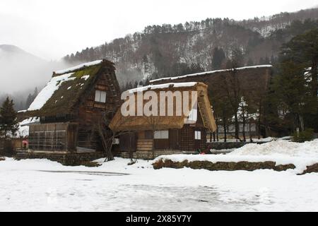 Shirakawa-Go, Japan, 14. Februar 2016: Historische Bauernhäuser mit charakteristischem steil schrägen Strohdach in Shirakawa-Go, Japan im Winter wi Stockfoto