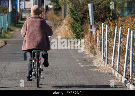 Eine ältere Japanerin fährt Fahrrad im ländlichen Kanagawa, Japan. Stockfoto