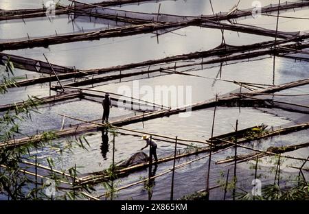 Philippinen, Mindanao. Fischer, die in einer Fischfarm arbeiten. Stockfoto