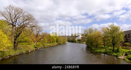 Jennings Brewery am Zusammenfluss der Flüsse Cocker und Derwent, Cockermouth, Cumbria, Lake District, England im Frühling. Stockfoto