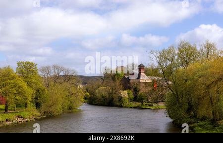 Jennings Brewery am Zusammenfluss der Flüsse Cocker und Derwent, Cockermouth, Cumbria, Lake District, England im Frühling. Stockfoto