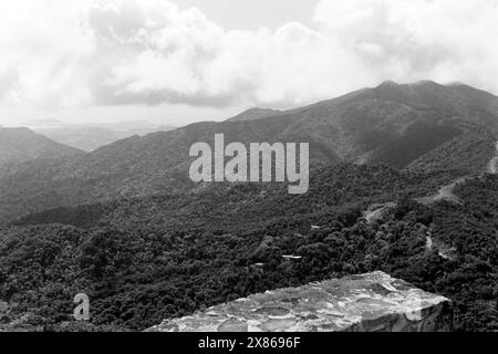 Blick über den Regenwald des Caribbean National Forest, heute El Yunque National Forest, von einem Aussichtspunkt aus, Puerto Rico 1966. Blick über den Regenwald des Caribbean National Forest, heute El Yunque National Forest, von einem Aussichtspunkt, Puerto Rico 1966. Stockfoto