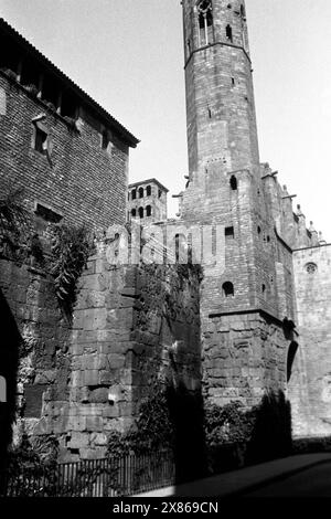 Blick vom Fuße des Turmes des Palacio Real in Barcelona, Spanien 1957. Blick vom Fuße des Palacio Real in Barcelona, Spanien 1957. Stockfoto