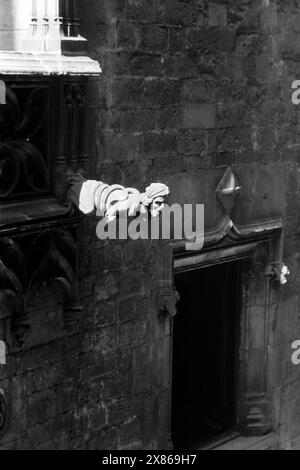 Wasserspeier in der Calle del Obispo in der Altstadt von Barcelona, Spanien 1957. Wasserspeier in der Calle del Obispo im historischen Zentrum von Barcelona, Spanien 1957. Stockfoto