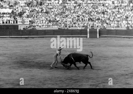 Ein Stierkampf in der seit 2011 zum Einkaufszentrum umgebauten Arena von Barcelona, hier versetzt der Torero dem Stier seinen Todesstoß, Barcelona 1957. Ein Stierkampf in der Arena von Barcelona, die seit 2011 zu einem Einkaufszentrum umgebaut wurde, wo der Torero dem Stier seinen Todesstoß versetzt, Barcelona 1957. Stockfoto