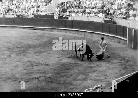 Ein Stierkampf in der seit 2011 zum Einkaufszentrum umgebauten Arena von Barcelona, hier reizt der Torero den bereits verletzten Stier zusätzlich mit einem Tuch, das muleta genannt wird, Barcelona 1957. Ein Stierkampf in Barcelonas Arena, die seit 2011 zum Einkaufszentrum umgebaut wurde; hier neckt der Torero zusätzlich den bereits verletzten Stier mit einem Tuch namens muleta, Barcelona 1957. Stockfoto