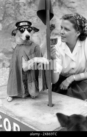 Ein mit Umhang, Hut und Sonnenbrille verkleideter Hund Names Bobi verdient als Touristenattraktion Geld, vermutlich in Arenys del Mar oder Blanes an der Costa Brava, 1957. Ein Hund namens Bobi, gekleidet mit umhang, Hut und Sonnenbrille, verdient Geld als Touristenattraktion, vermutlich in Arenys del Mar oder Blanes an der Costa Brava, 1957. Stockfoto