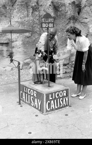 Ein mit Umhang, Hut und Sonnenbrille verkleideter Hund Names Bobi verdient als Touristenattraktion Geld, vermutlich in Arenys del Mar oder Blanes an der Costa Brava, 1957. Ein Hund namens Bobi, gekleidet mit umhang, Hut und Sonnenbrille, verdient Geld als Touristenattraktion, vermutlich in Arenys del Mar oder Blanes an der Costa Brava, 1957. Stockfoto