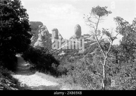 Blick auf den Cavall Bernat vom Wanderweg Camí de Sant Jeroni aus, der zum höchsten Gipfel des Montserrat führt, Katalonien 1957. Blick auf Cavall Bernat vom Wanderweg Camí de Sant Jeroni, der zum höchsten Gipfel des Montserrat führt, Katalonien 1957. Stockfoto