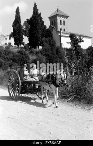 Zwei Frauen sitzen auf einem Gitterkarren, der von einem weißen Maultier mit Scheuklappen gezogen wird, im Hintergrund erhebt sich die Kapelle Ermita de les Alegries hinter Mittelmeerzypressen, Lloret de Mar 1957. Zwei Frauen sitzen auf einer barrow, gezogen von einem weißen Maultier mit Blinkern, im Hintergrund die Kapelle Ermita de les Alegries hinter mediterranen Zypressen, Lloret de Mar 1957. Stockfoto