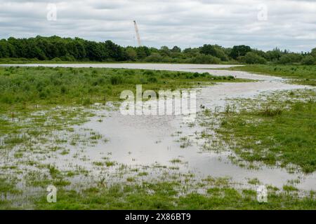 Dorney, Großbritannien. Mai 2024. Die Überschwemmungen auf Dorney Common in Buckinghamshire sind diesen Monat viel schlimmer geworden als sonst. Die Einheimischen glauben, dass das überschüssige Hochwasser von einem Überlaufrohr zum Common vom Roundmoor-Graben kommt. Das Wasser der Themse darf gesetzlich in den Roundmoor-Graben abgeleitet werden, aber nur bei starkem Regen. Obwohl die Karte des Thames Water Event Duration Monitor seit dem 6. April 2024 keine Ableitungen aus dem nahe gelegenen Thames Water Slough Abwasseraufbereitungswerk in den Roundmoor Ditch gezeigt hat, sind die Einheimischen besorgt, dass der Anstieg des verschmutzten Wasserspiegels auf die angebliche Themse zurückzuführen ist Stockfoto