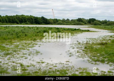 Dorney, Großbritannien. Mai 2024. Die Überschwemmungen auf Dorney Common in Buckinghamshire sind diesen Monat viel schlimmer geworden als sonst. Die Einheimischen glauben, dass das überschüssige Hochwasser von einem Überlaufrohr zum Common vom Roundmoor-Graben kommt. Das Wasser der Themse darf gesetzlich in den Roundmoor-Graben abgeleitet werden, aber nur bei starkem Regen. Obwohl die Karte des Thames Water Event Duration Monitor seit dem 6. April 2024 keine Ableitungen aus dem nahe gelegenen Thames Water Slough Abwasseraufbereitungswerk in den Roundmoor Ditch gezeigt hat, sind die Einheimischen besorgt, dass der Anstieg des verschmutzten Wasserspiegels auf die angebliche Themse zurückzuführen ist Stockfoto