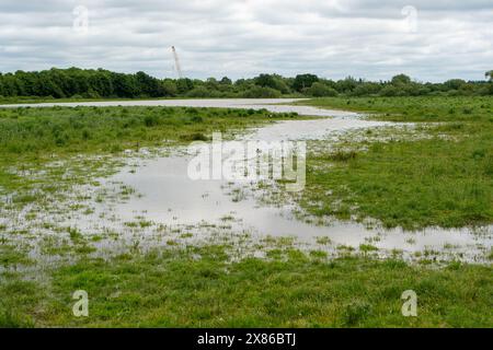 Dorney, Großbritannien. Mai 2024. Die Überschwemmungen auf Dorney Common in Buckinghamshire sind diesen Monat viel schlimmer geworden als sonst. Die Einheimischen glauben, dass das überschüssige Hochwasser von einem Überlaufrohr zum Common vom Roundmoor-Graben kommt. Das Wasser der Themse darf gesetzlich in den Roundmoor-Graben abgeleitet werden, aber nur bei starkem Regen. Obwohl die Karte des Thames Water Event Duration Monitor seit dem 6. April 2024 keine Ableitungen aus dem nahe gelegenen Thames Water Slough Abwasseraufbereitungswerk in den Roundmoor Ditch gezeigt hat, sind die Einheimischen besorgt, dass der Anstieg des verschmutzten Wasserspiegels auf die angebliche Themse zurückzuführen ist Stockfoto