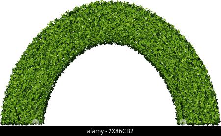 Grüne runde Bogenhecke aus Buchsbaumbüschen isoliert auf weißem Hintergrund. Der Bogen von Pflanzen mit Blattstruktur. Gartenarchitektur. Vektorabbildung. Stock Vektor