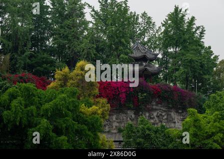 Chinesischer Garten mit Pavillon und bunten Blumen Stockfoto