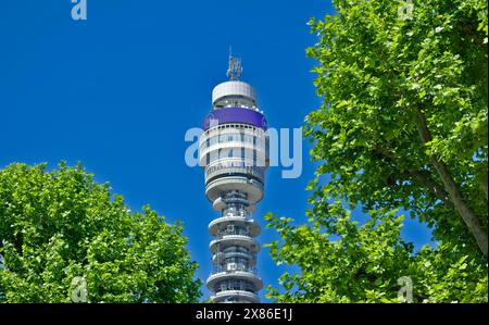 BT Tower oder Post Office Tower ein klassifizierter Kommunikationsturm in Fitzrovia, London und Trees in Springtime Stockfoto