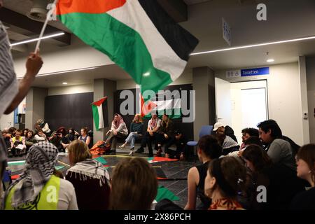 Gent, Belgien. Mai 2024. Bild einer Protestaktion der Gruppen GentStudents4Palestine und EndFossilGent im GUM Gents Universiteitsmuseum, anlässlich eines Besuchs des Premierministers am Donnerstag, den 23. Mai 2024. BELGA FOTO DAVID PINTENS Credit: Belga News Agency/Alamy Live News Stockfoto