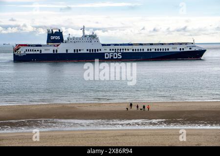 Die DFDS-Frachtfähre Begonia Seaways, beladen mit Lastwagenanhängern und Neuwagen, verlässt die Westerschelde in die Nordsee bei Zoutelande Niederlande Stockfoto