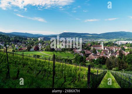 Europa, Schweiz, Baselland, Baselbiet, Birseck, Birsecktal, Arlesheim, Steinbruch, Arlesheim BL Stockfoto