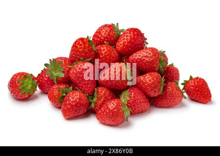 Haufen frischer reifer roter niederländischer Erdbeeren, isoliert auf weißem Hintergrund, Nahaufnahme Stockfoto
