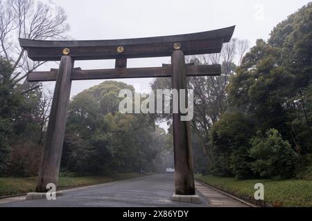 Torii-Tor am Meiji Jingu Shinto-Schrein, Tokio Stockfoto