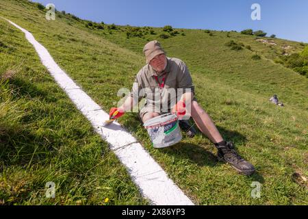 Wilmington, East Sussex, Großbritannien, 23.05.2024, Obergärtner bei Sussex Past, James Neal, hilft beim Malen des langen Mannes von Wilmington. Die Riesenfigur an den steilen Hängen des Windover Hill ist 72 Meter hoch und hält zwei Stangen. Ursprünglich wurde angenommen, dass es sich um ein neolithikum handelt, heute wird angenommen, dass es sich um das 16. Oder 17. Jahrhundert handelt. Die Neumalerei ist das Finale einer Spendenaktion zur Unterstützung der Arbeit der Sussex Archaeology Society (die als Sussex Past gehandelt wird), die die berühmte Hügelfigur „The Guardian of the South Downs“ besitzt und pflegt. Die Kampagne sammelte mehr als £10.000 und fast 300 Spender zahlten £30,00 Stockfoto