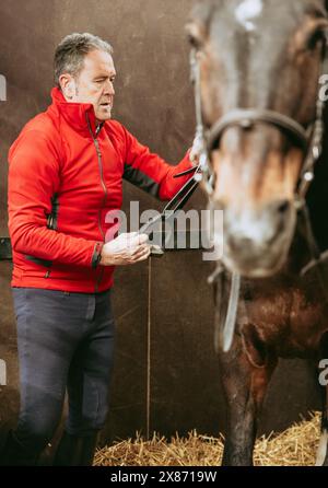 Ein Reiter in roter Jacke passt das Zaumzeug seines Pferdes in einem Stall an und genießt die Verbindung und die Vorbereitung auf den Reiten. Stockfoto