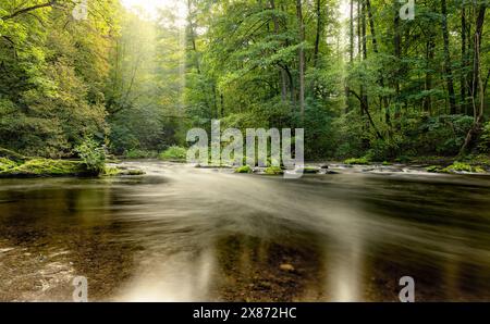 Bode im Harz fließt durch einen wunderschönen Herbstwald Stockfoto