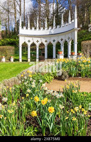 Narzissen im Frühling vor der Exedra im Painswick Rococo Garden im Cotswold Dorf Painswick, Gloucestershire. England Großbritannien Stockfoto