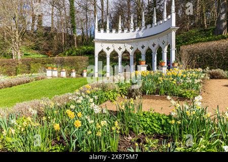 Narzissen im Frühling vor der Exedra im Painswick Rococo Garden im Cotswold Dorf Painswick, Gloucestershire. England Großbritannien Stockfoto