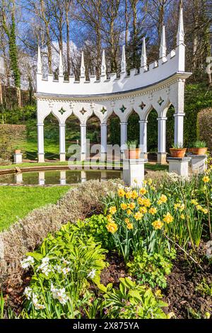 Narzissen im Frühling vor der Exedra im Painswick Rococo Garden im Cotswold Dorf Painswick, Gloucestershire. England Großbritannien Stockfoto