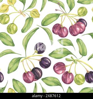 Maqui Beere, lila rosa Frucht nahtlos Muster mit Blättern. Aristotelia chilensis textiler Aquarell-Ornament-Clipart. Lebhaftes chilenisches Weinbeermuster für Kleidung, Papier, Scrapbooking und Tapeten Stockfoto