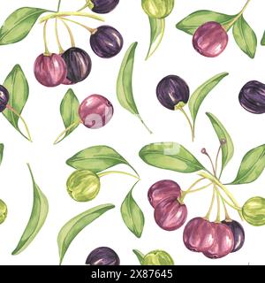 Maqui Beere, lila rosa Frucht nahtlos Muster mit Blättern. Aristotelia chilensis textiler Aquarell-Ornament-Clipart. Lebhaftes chilenisches Weinbeermuster für Kleidung, Papier, Scrapbooking und Tapeten Stockfoto
