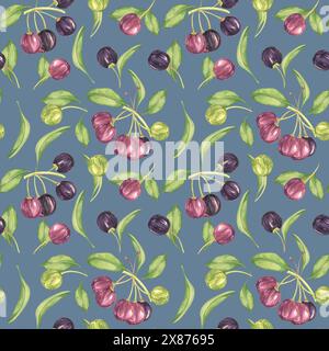 Maqui Beere, lila rosa Frucht nahtlos Muster mit Blättern. Aristotelia chilensis textiler Aquarell-Ornament-Clipart. Lebhaftes chilenisches Weinbeermuster für Kleidung, Papier, Scrapbooking und Tapeten Stockfoto