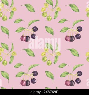 Maqui Beere, lila rosa Frucht nahtlos Muster mit Blättern. Aristotelia chilensis textiler Aquarell-Ornament-Clipart. Lebhaftes chilenisches Weinbeermuster für Kleidung, Papier, Scrapbooking und Tapeten Stockfoto