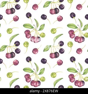 Maqui Beere, lila rosa Frucht nahtlos Muster mit Blättern. Aristotelia chilensis textiler Aquarell-Ornament-Clipart. Lebhaftes chilenisches Weinbeermuster für Kleidung, Papier, Scrapbooking und Tapeten Stockfoto