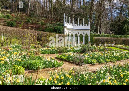 Narzissen im Frühling vor der Exedra im Painswick Rococo Garden im Cotswold Dorf Painswick, Gloucestershire. England Großbritannien Stockfoto