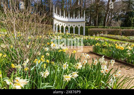 Narzissen im Frühling vor der Exedra im Painswick Rococo Garden im Cotswold Dorf Painswick, Gloucestershire. England Großbritannien Stockfoto