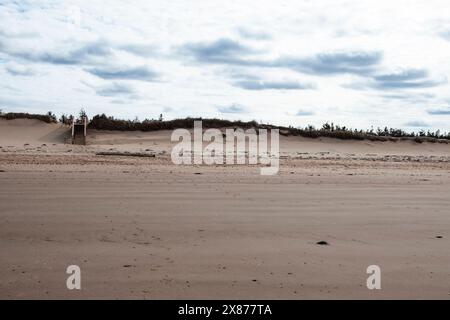 Sanddünen am Brackley Beach, Prince Edward Island, Kanada Stockfoto